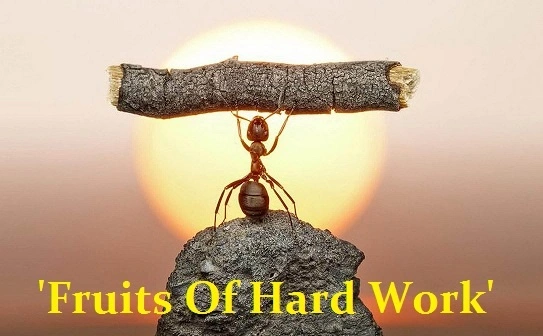 Vedic Vision Fruits-Of-Hard-Work-explained-by-Ashutosh-Pareek