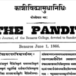 the pandit